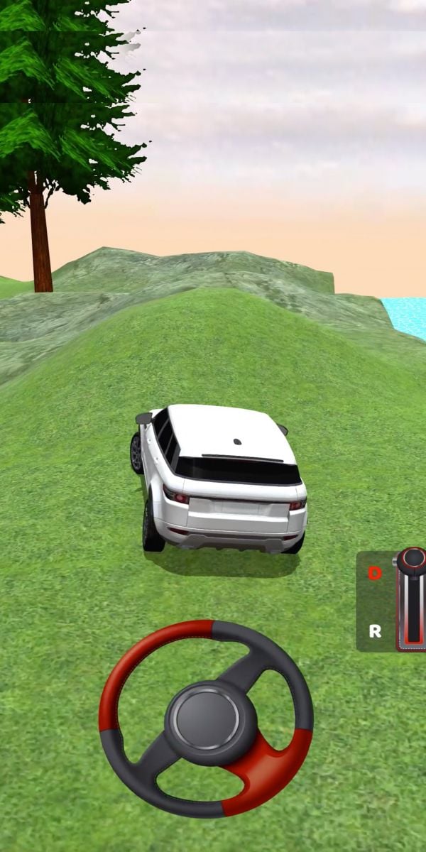 Real Drive 3D